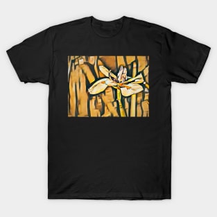 Shades of Gold T-Shirt